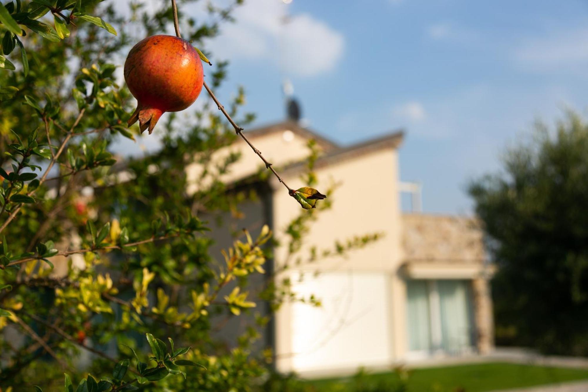 Aparthotel Casa Massaro Todeschini Abano Terme Exteriér fotografie