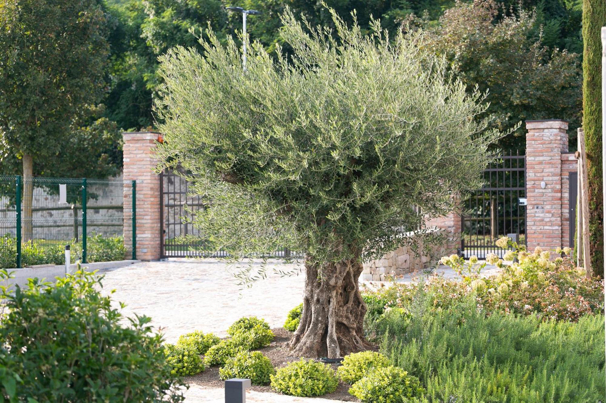 Aparthotel Casa Massaro Todeschini Abano Terme Exteriér fotografie